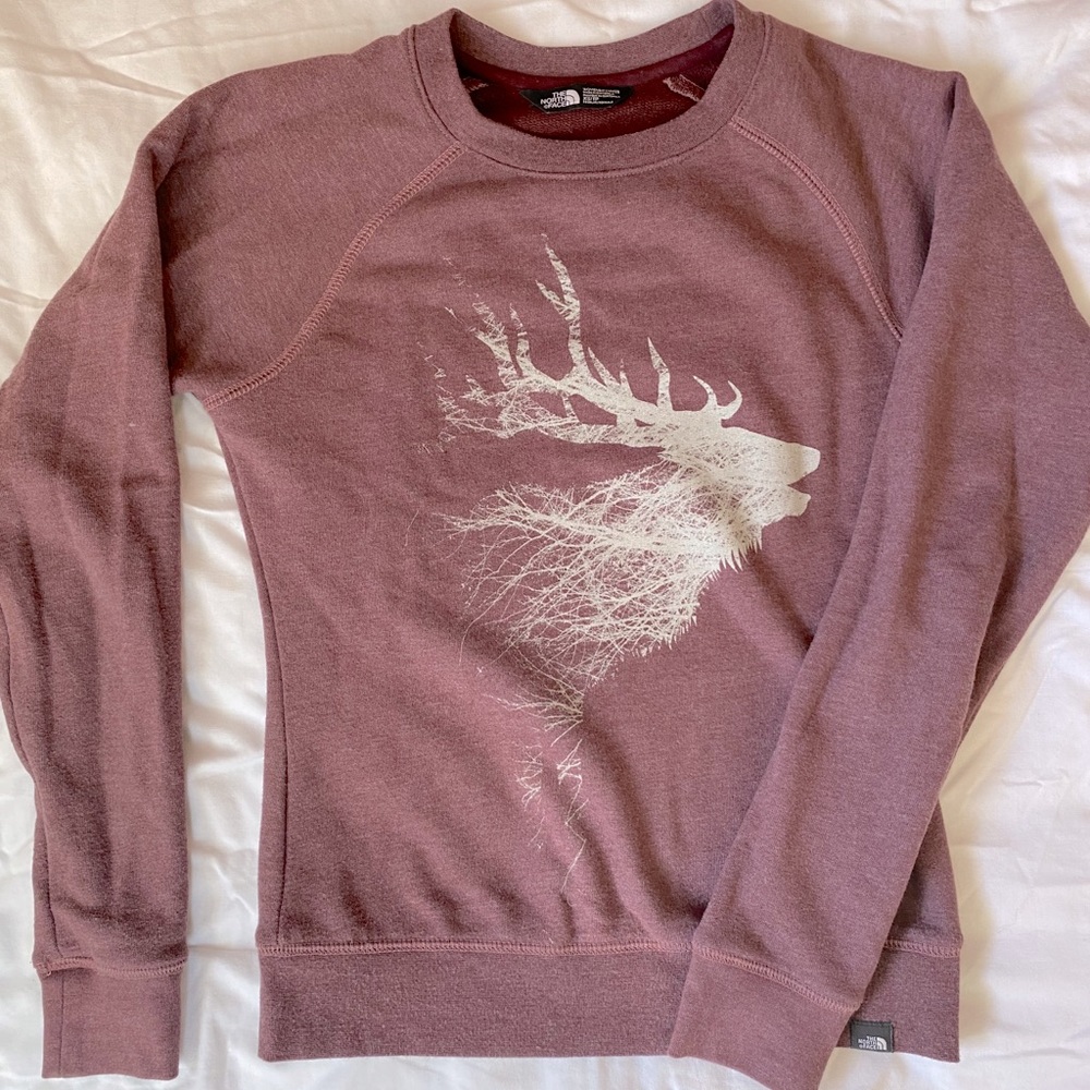 The north face sweatshirt